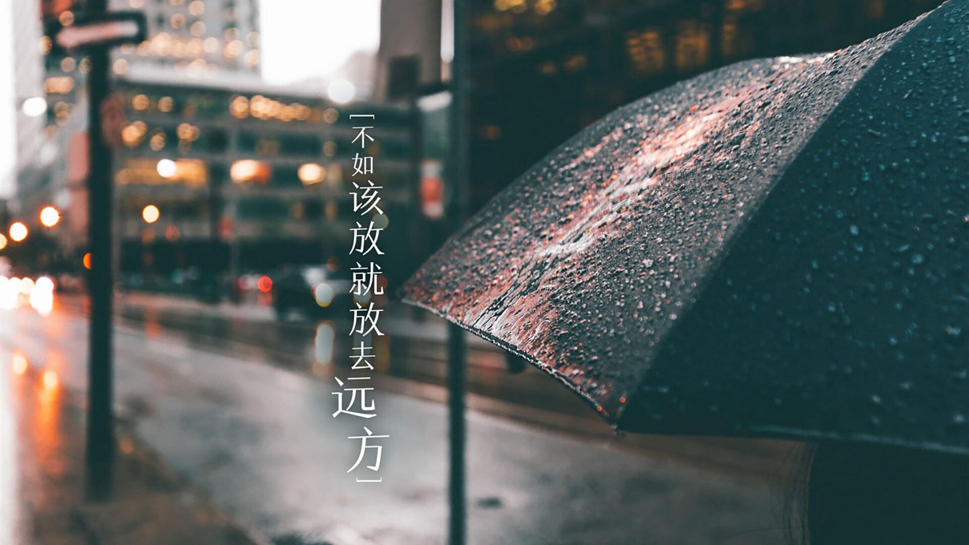 “真实故事：球员运动员背后的奋斗故事”，运动员成功背后的故事