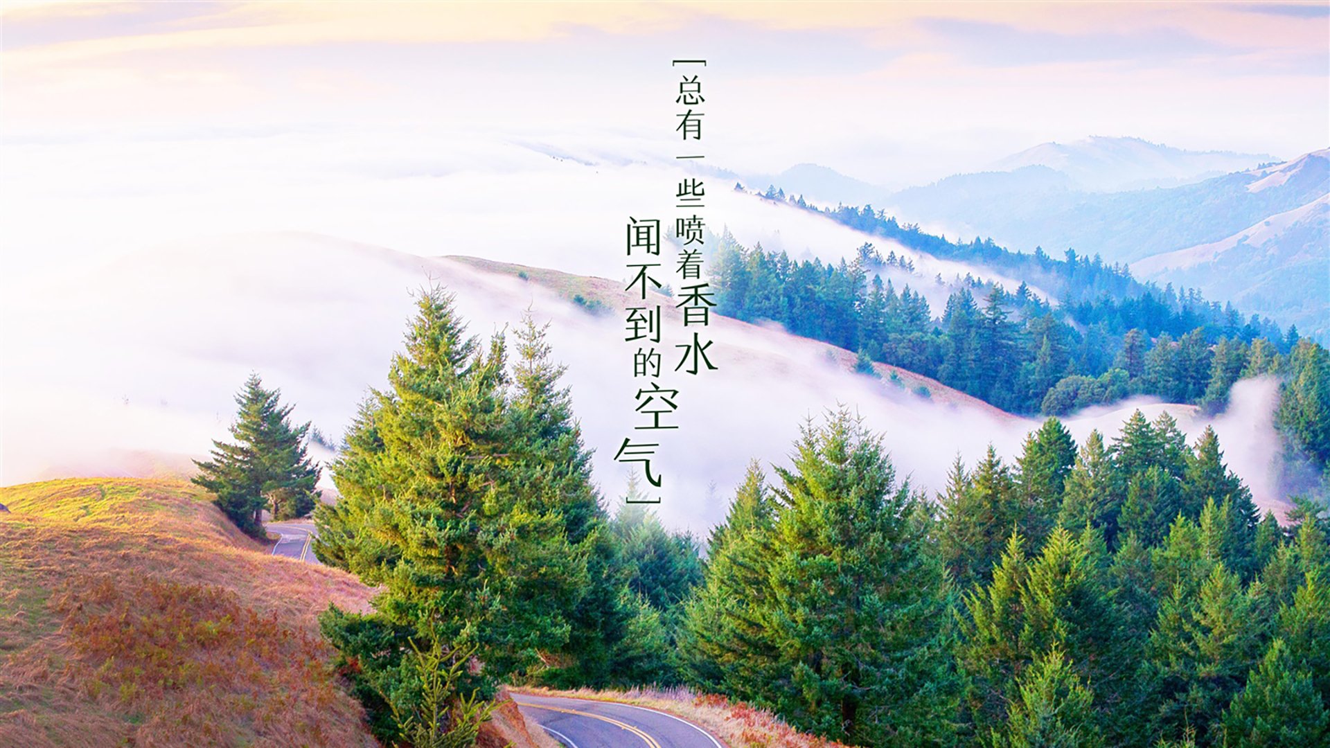 乐鱼体育平台官网-特色水上趣味竞技，激发全民运动热情，水上运动项目大全