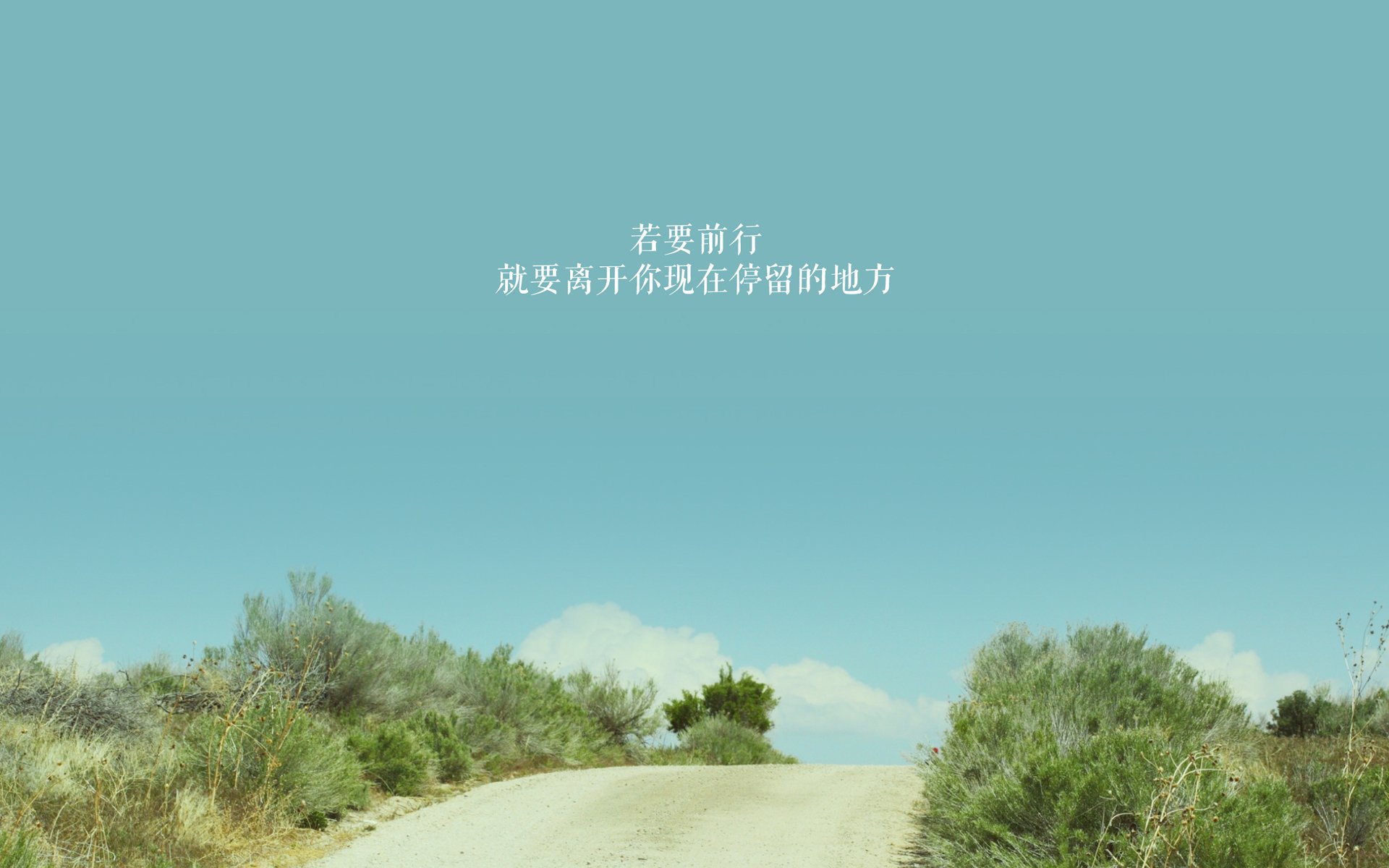 乌克兰队力挫对手，坚定走进欧洲杯正赛，乌克兰欧洲杯比赛成绩