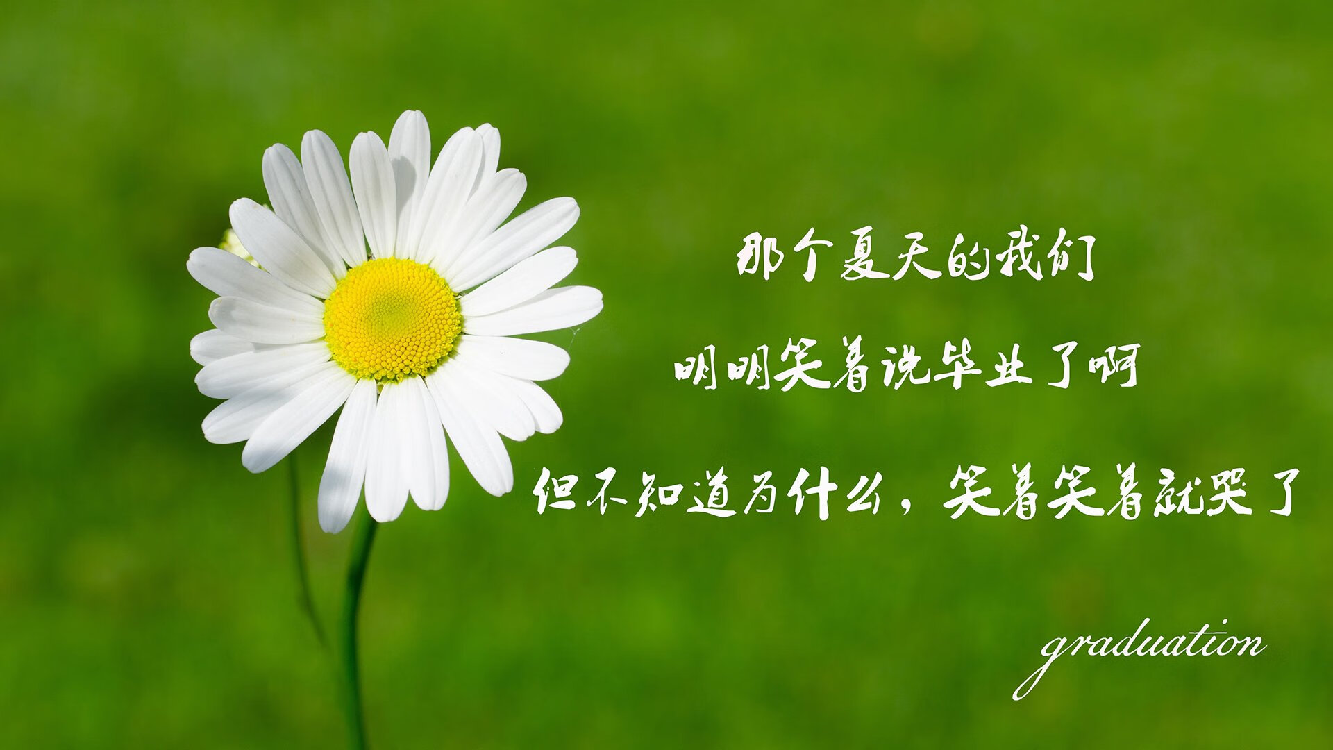 回顾高尔夫年度十大高光球洞，高尔夫球洞直径多少cm
