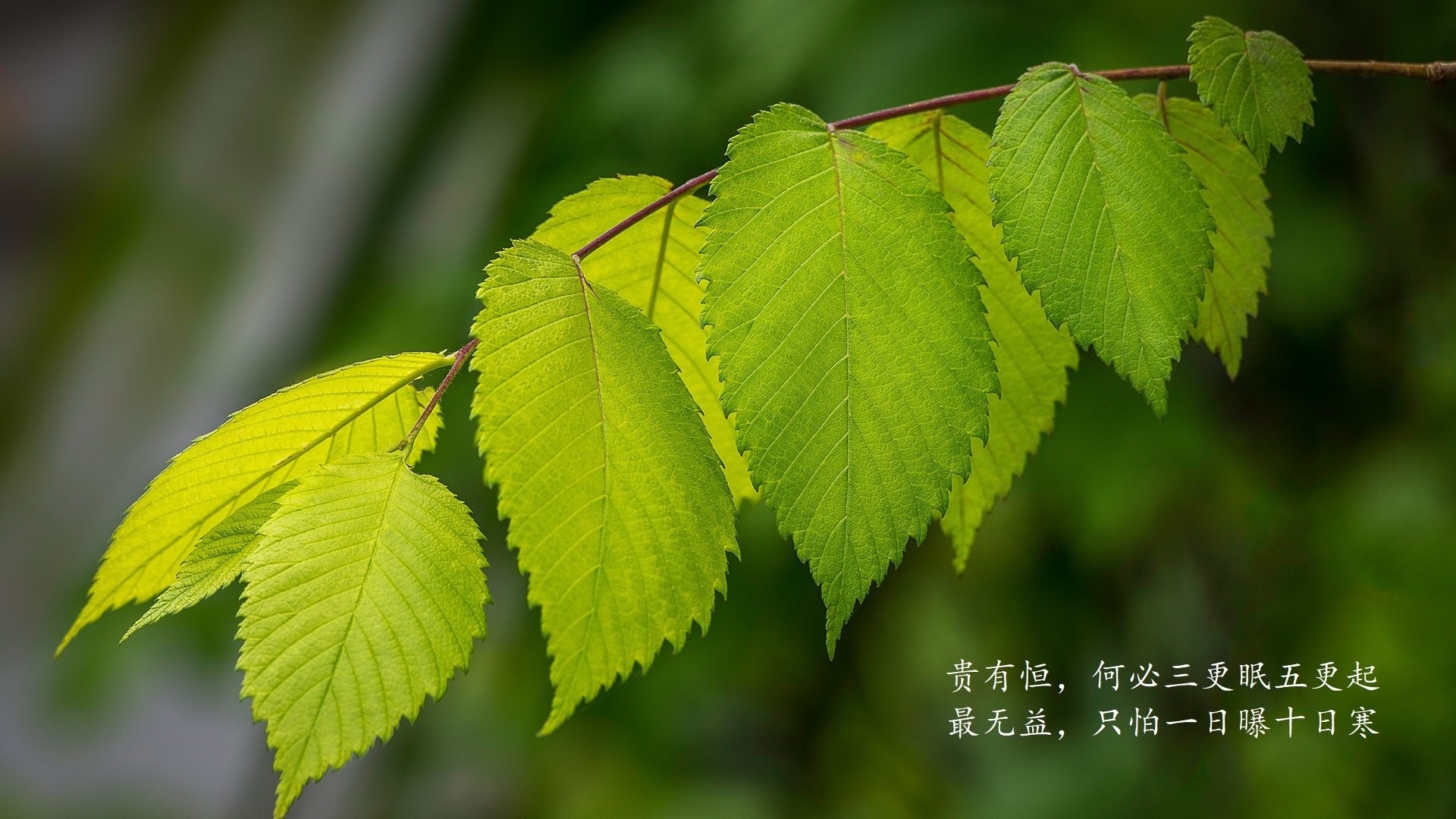 年轻球员曝光过多是否影响心理建设，年轻球员身价排行