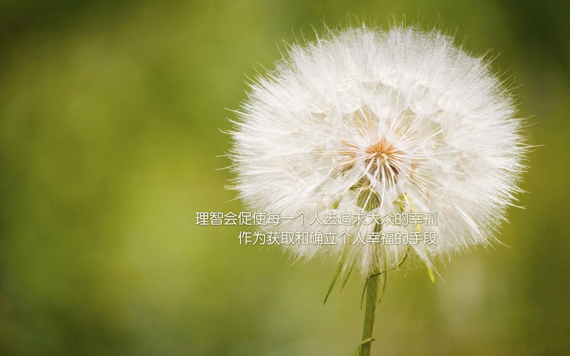 教学资源数字转型，数字化教学资源的生成与管理