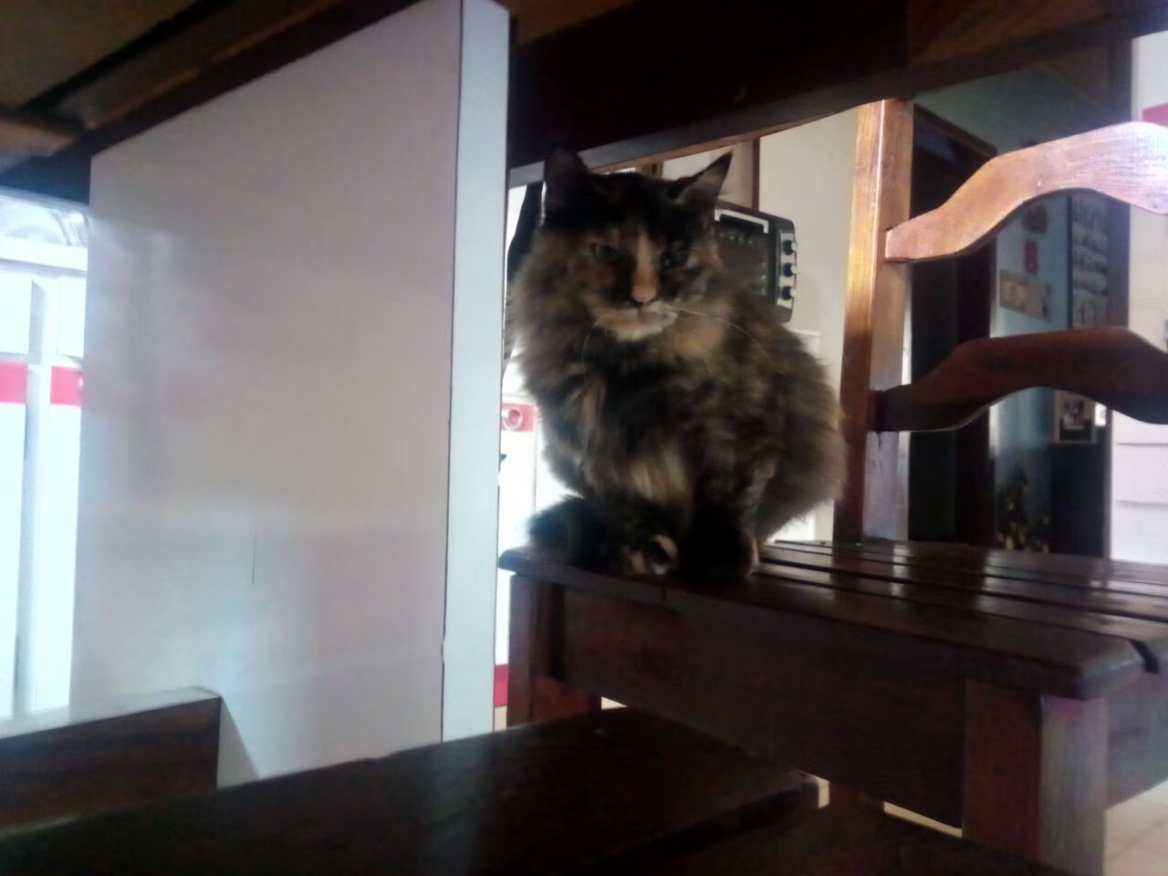 leyu乐鱼在线登录入口-意甲的跨界合作营销方案，意甲赞助商