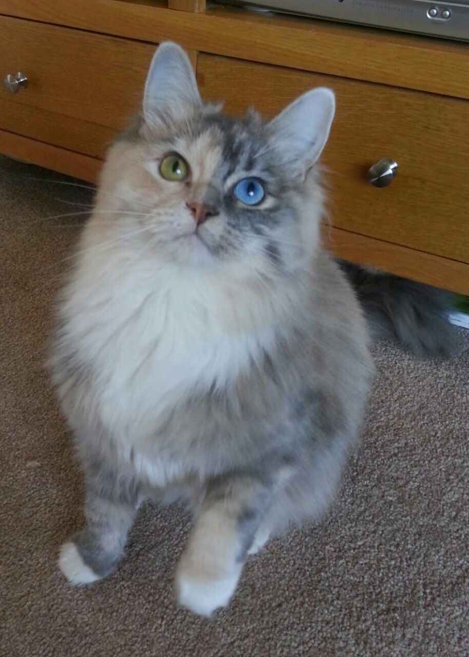 leyu乐鱼-拜仁慕尼黑领跑德甲，争冠遥遥领先