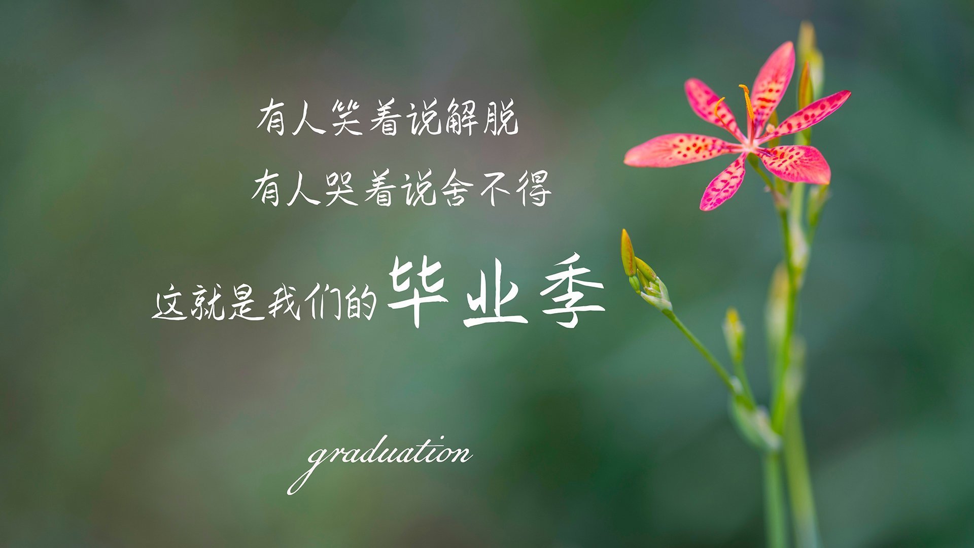 乐鱼电竞在线平台登录入口-田径运动创伤数据库发布最新统计结果，田径训练中常见的运动损伤