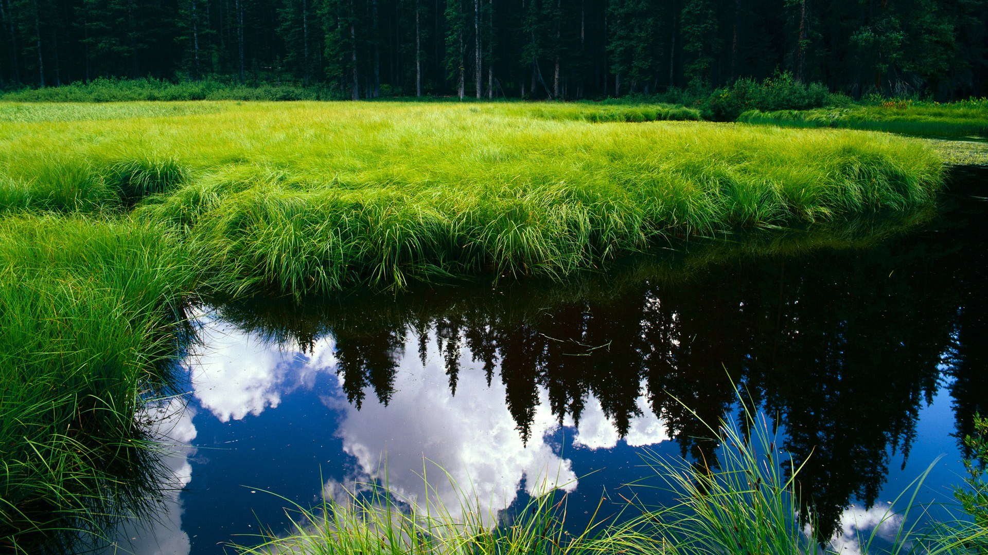 网球运动心理干预方案正式上线，网球行为